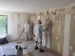 Best Mold Odor Removal Services  in Richardson, TX